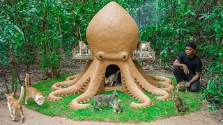 Rescue Abandoned Cats Building Octopus House For Cat House