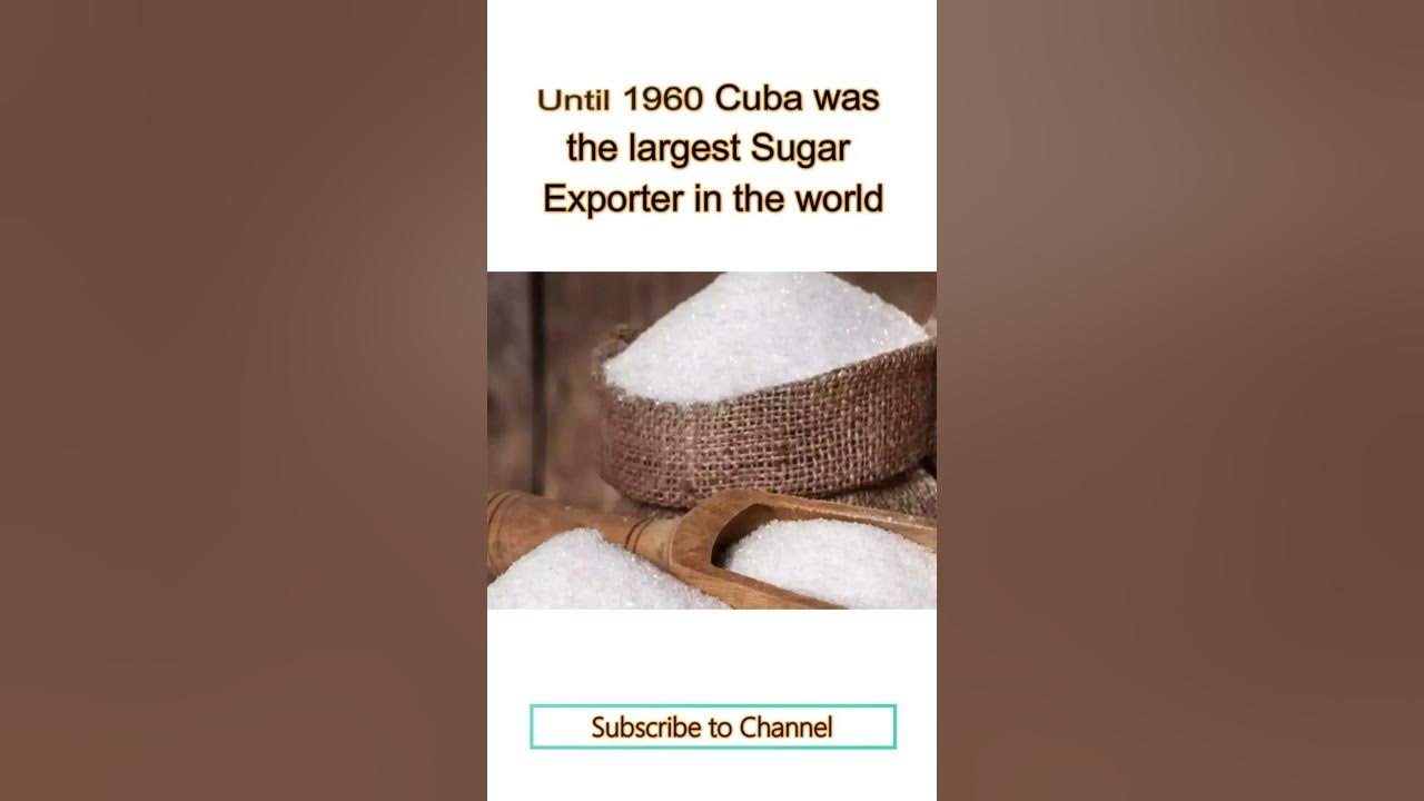 Cuba Sugar Bowl of the World YouTube