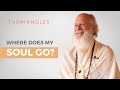 Soul and Reincarnation