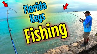 Fishing the Florida Keys from Shore! Easy Cheap FUN!! by Mental Health Day 1,484 views 13 days ago 12 minutes, 32 seconds