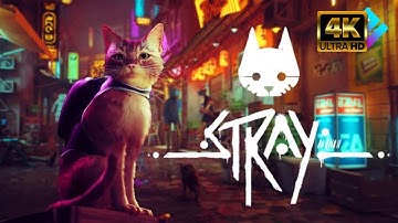 Stray mobile gameplay and 4k graphics