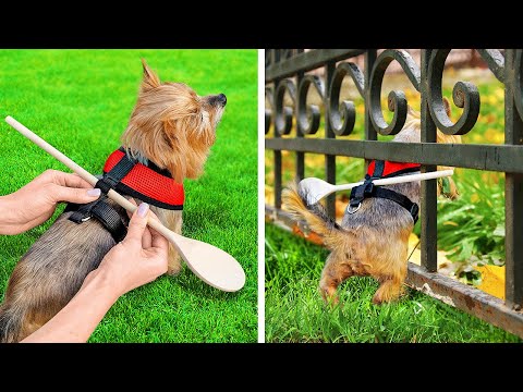 GENIUS HACKS AND GADGETS FOR PET OWNERS