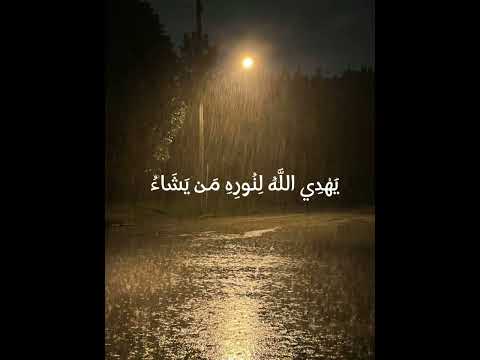 سورة النور بصوت القارئ شريف مصطفى القرآن الكريم سورة النور شريف مصطفى