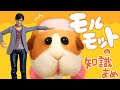 【PUI PUI】モルモットの知識まめ【檀黎斗】