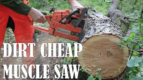 If you see this Chainsaw... BUY IT IMMEDIATELY!