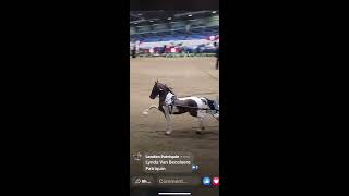 Live video recorded during the 2020 Roadster stakes class