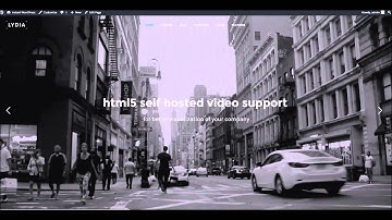 Lydia WordPress Theme - Theme Options Overview