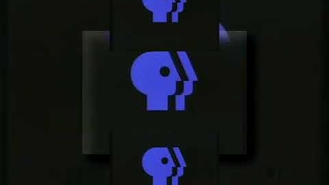 Re upload: Pbsscan.mp4