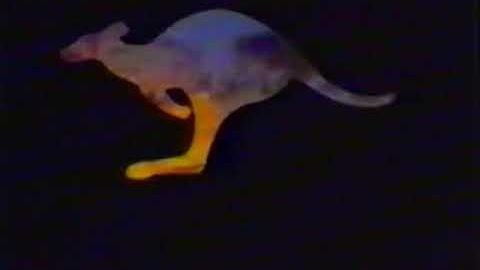 Down Under Video (1989)