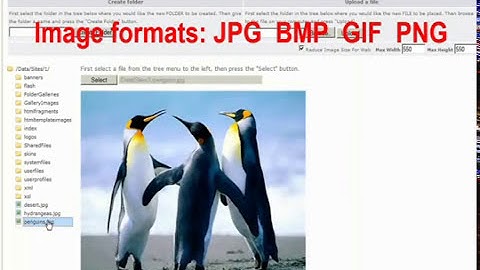 FCK Editor User manual