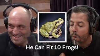 David Blaine Eats Live Frog and Regurgitates It! | Joe Rogan