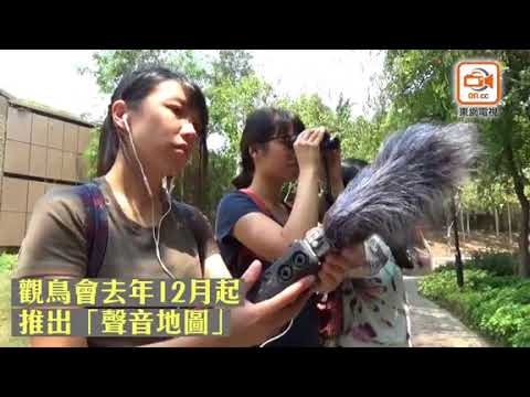 東網透視：升KEY雀發惡因搵伴　觀鳥會籲共融