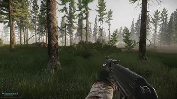 Road to Customs | Shoreline - Escape from Tarkov