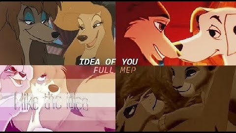 Animash MEP - Idea of You