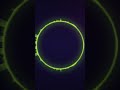 AI Generated Songs: I Slept Through Your Ghost #Shorts