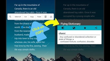 Flying Dictionary - an offline android app!
