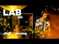 Los Cabra | Tribal techno set in The Lab Goa