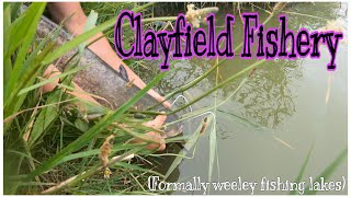 Catfish Clayfield Fishery Weeley