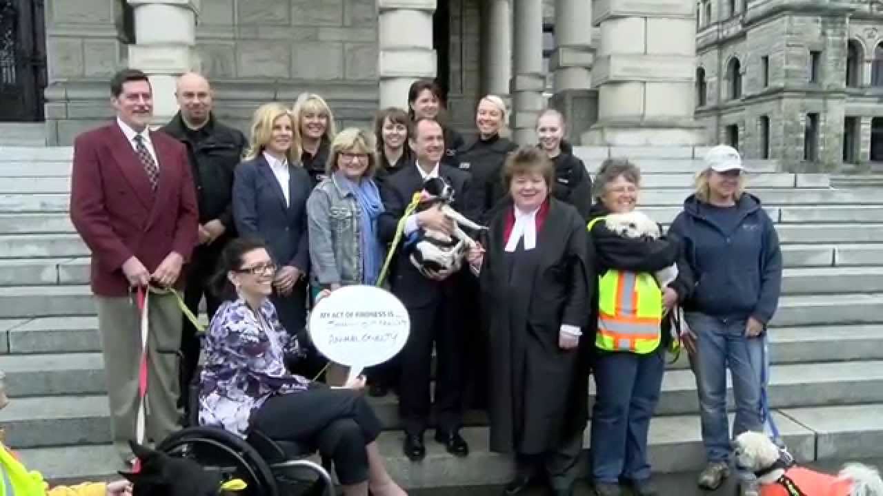 Prevent animal abuse - you can make a difference