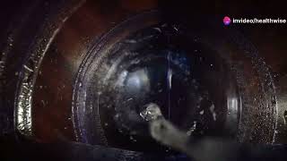 How Water Stills Work: Lab Essentials