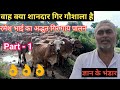 Shree Gir Cow Jatan Sansthan Gondal Gujarat || Dairy Farming