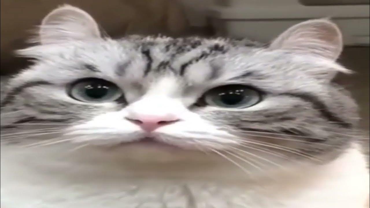 бананчики - YouTube