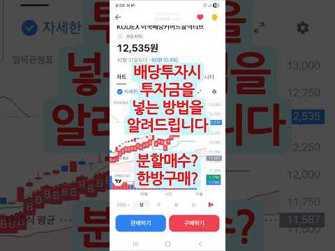 배당투자를 시작할때 시드를 넣는 방법을 알려드립니다. #울티 #ulty #일드맥스 #배당투자 #jepq #배당금 #배당etf