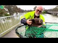 Animals That Asked People for Help &amp; Kindness!  Heartwarming Moments! #166