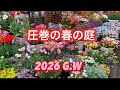 【おもてなしのお庭を作りました】輝きのガーデンツアー。視聴者様、来訪。