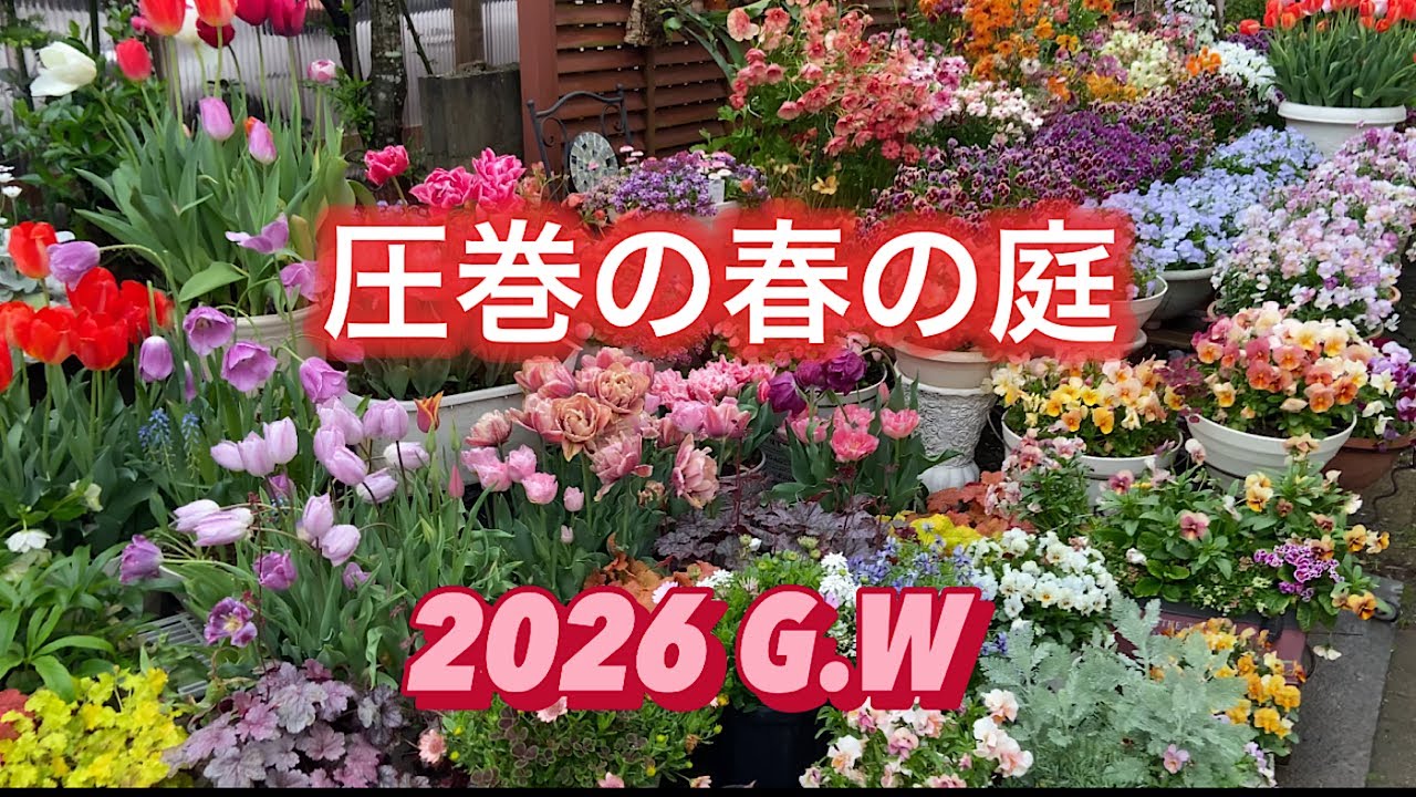 We created a welcoming garden] A sparkling garden tour. Viewers