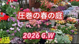 【おもてなしのお庭を作りました】輝きのガーデンツアー。視聴者様、来訪。