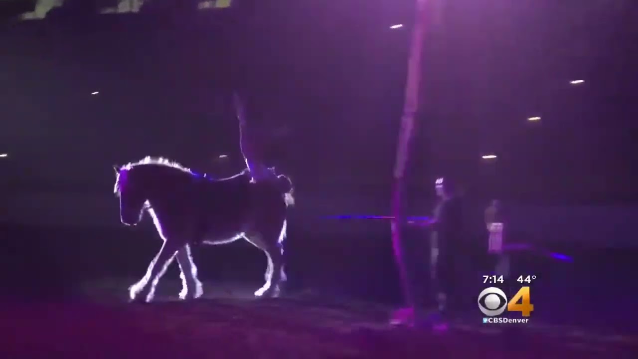 2018 Gladius The Show on CBS Channel 4 Denver