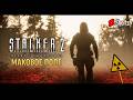 ☢️Не попасть в аномалию | S.T.A.L.K.E.R. 2: Heart of Chornobyl [2024] #2 #shorts #PavelOK10 #stalker