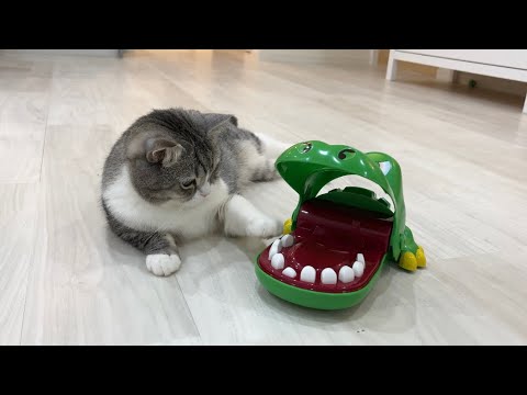 猫とワニワニパニックで遊んでたらこうなりました笑