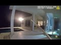 Oh deer! Buck wanders into Florida home, bathroom and pool before wild escape
