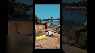 Let Watch This  dance giveusourstolenmoneyback dothingsyoudontwanttodo duet