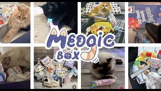 Unboxing the Meogic Box – A Purr-fect Surprise for Cats & Cat Parents! 😻📦