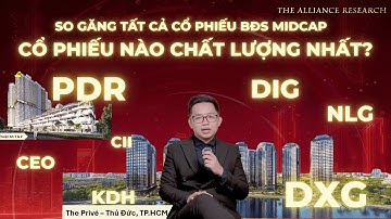 NVL CEO DIG DXG PDR...- Cổ phiếu BĐS nào hấp dẫn nhất 2026?