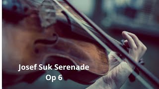 Josef Suk Serenade Op 6