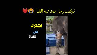 تركيب رجل صناعية للفيل ???shorts