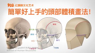 怎么画头部｜艺术解剖2022｜人体结构｜简单又好用的头骨体积绘制方法！