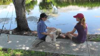 Travels with Charley project