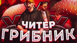 ОН ПОЧТИ МЕНЯ ОБМАНУЛ! САМЫЙ ХИТРЫЙ ЧИТЕР! Проверка читера GTA 5 RP/ГТА 5 РП на Majestic