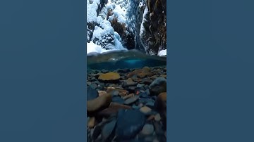 سورة النساء (۱۴۳-۱۴۷)