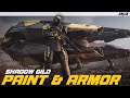 New Shadow Gild Paint &amp; Armor - Star Citizen