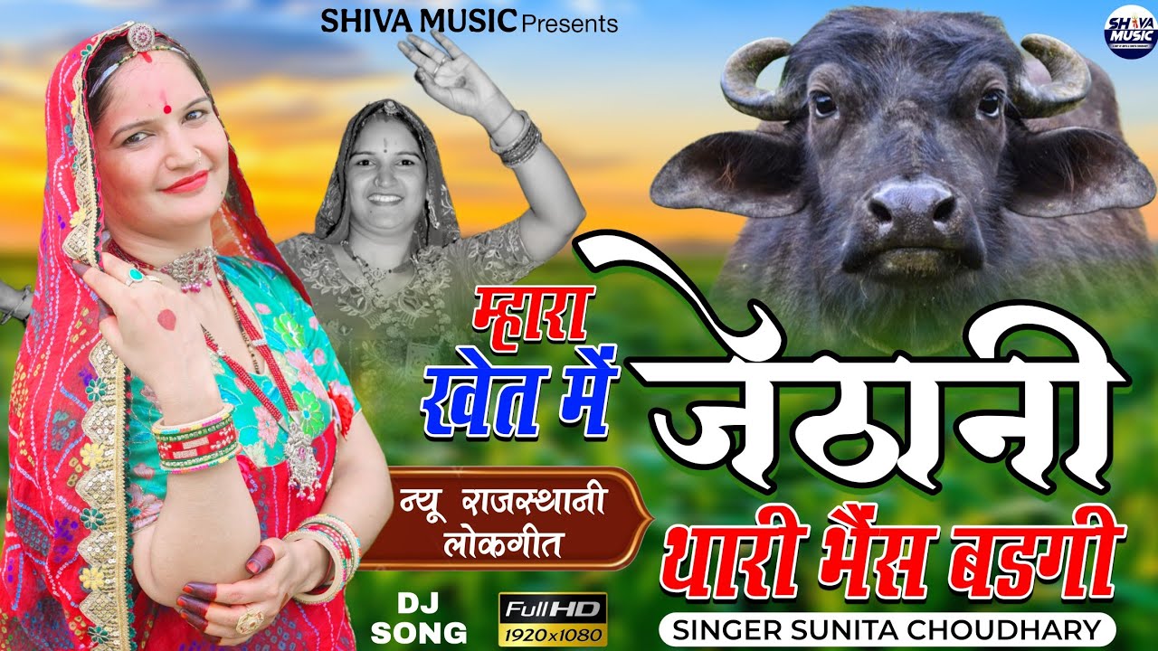 New Rajasthani Lokgeet | म्हारा खेत में जेठानी थारी भैंस बडगी | Singer Sunita Choudhary | Dj Song