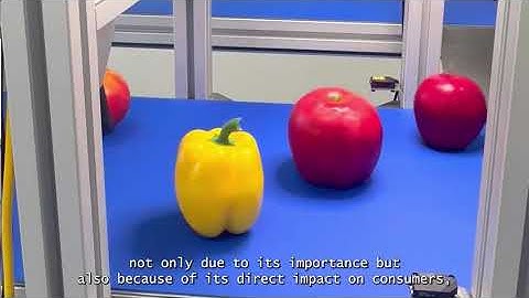 ITCL creates smart sorting cell with AI and robotics to handle perishable goods with precision