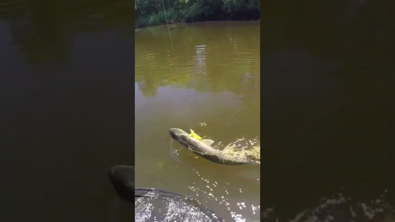 Fishing A Duck Lure For MONSTER Pike!