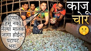 अंगणात सुकत घातलेल्या काजूची चोरी..😜 | मालकाने चोरांना चोपला दांड्याने..😂 | Yes महाराजा