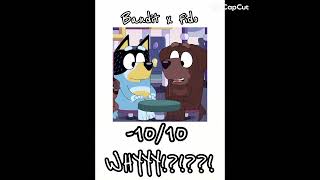 My Opinion On Some Of The Bluey Ships